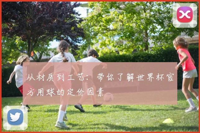 从材质到工艺：带你了解世界杯官方用球的定价因素